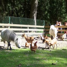 Mini Zoo Olympia