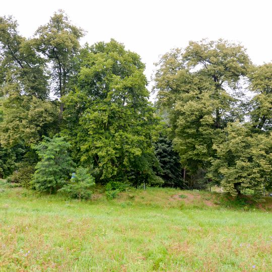 2 Tilia cordata in Zvířetice