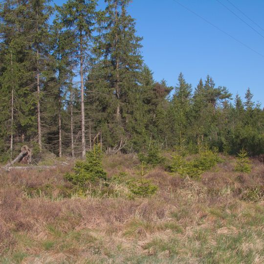 Pohořské rašeliniště