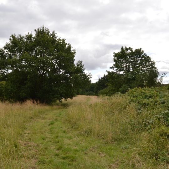 Prestwick Road Meadows