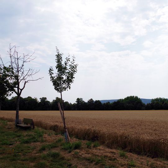 Umgebung der Bantelner Allee