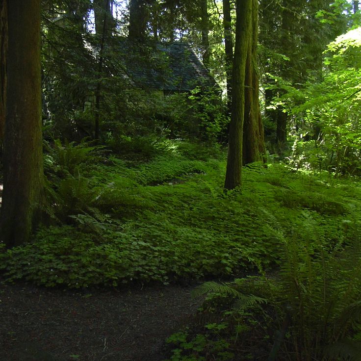 Leach Botanical Garden