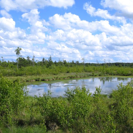 Rezerwat przyrody Bielawa