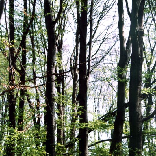 Nature reserve Góra Grojec