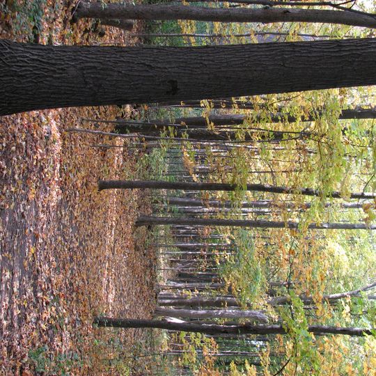 Parc-nature du Cap-Saint-Jacques