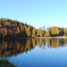 Landscape park in Bukowiec