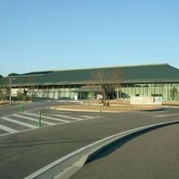 Ogori