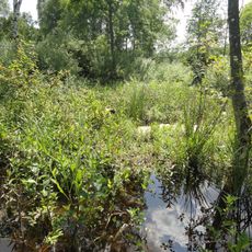 Marais d'Athis-Cherville