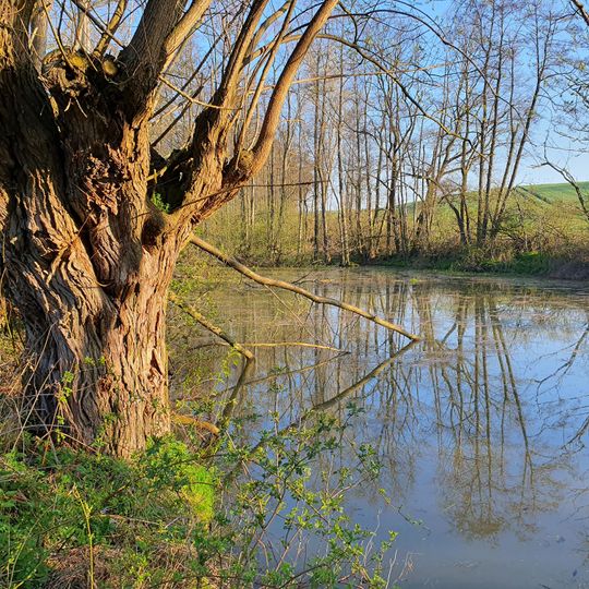 Geyerslede near Romsdorf