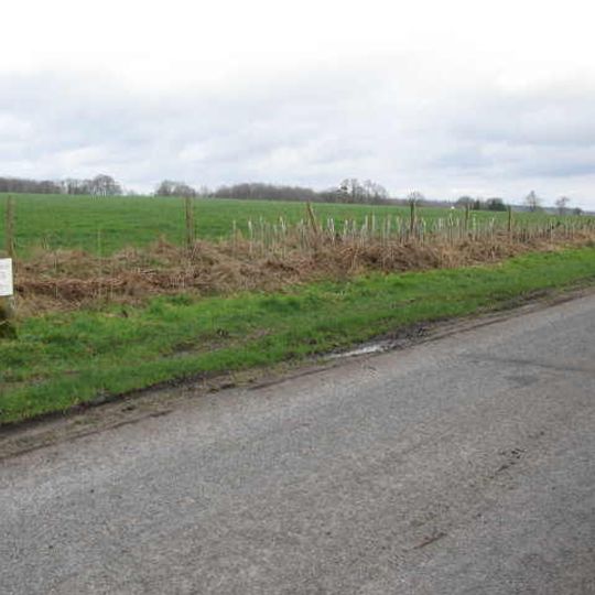 Milestone, Hill Farm House