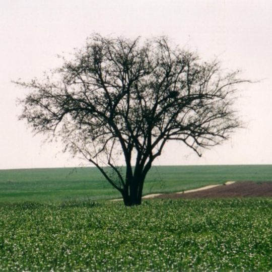 Eshkol Regional Council