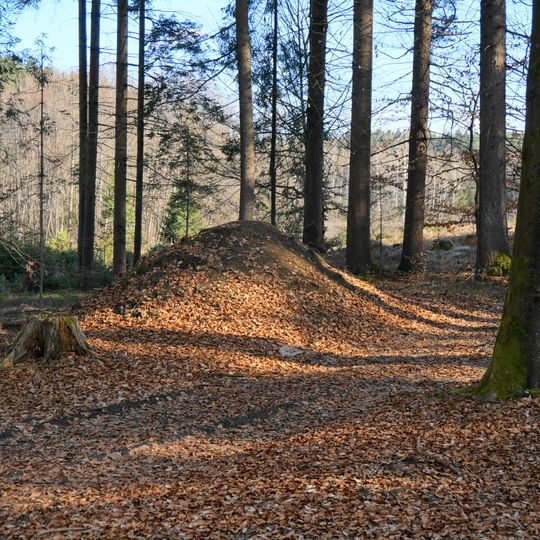 Hügelgräberfeld Michaelerteich