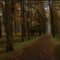 Verkhny park (Sestroretsk)