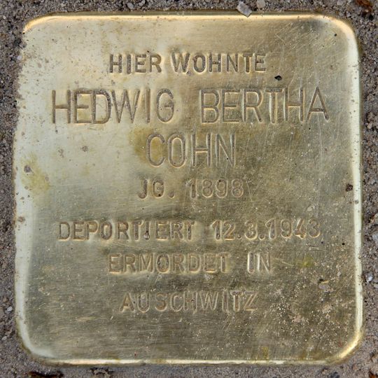Stolperstein dedicated to Hedwig Bertha Cohn