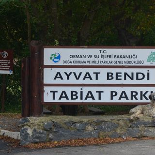 Ayvat Bendi Nature Park