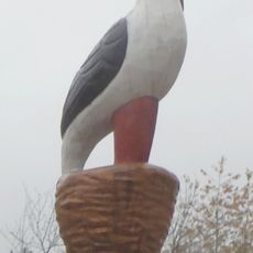 Storchi