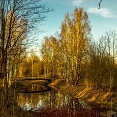 Nevsky Forest Park
