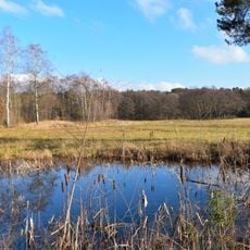 Bruch von Gravenbruch