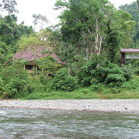 Parque nacional de Gunung Leuser