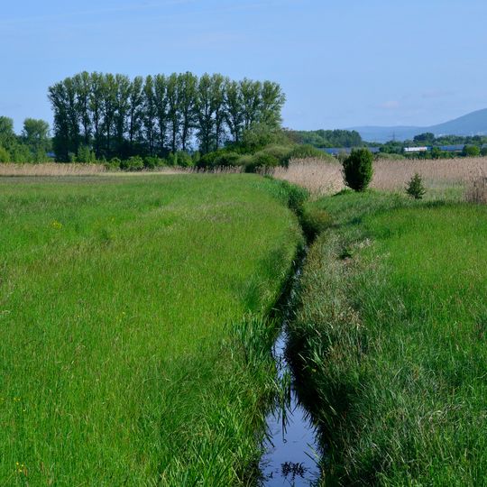 Hochholz-Kapellenbruch