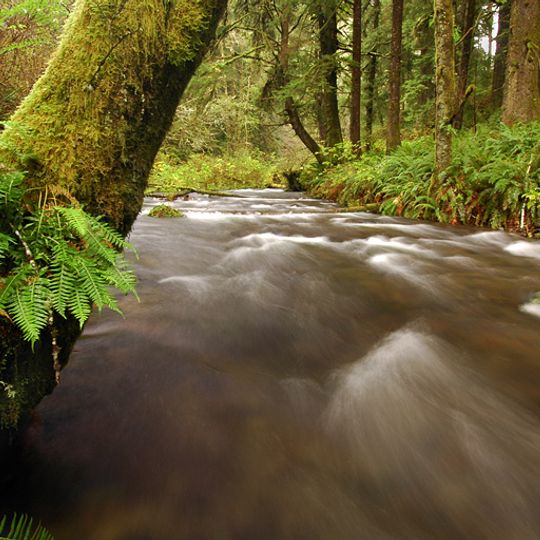 Rock Creek Wilderness