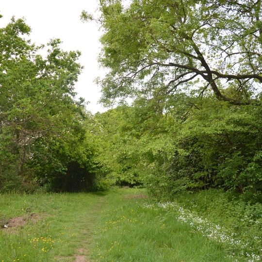 Brickfield and Long Meadow