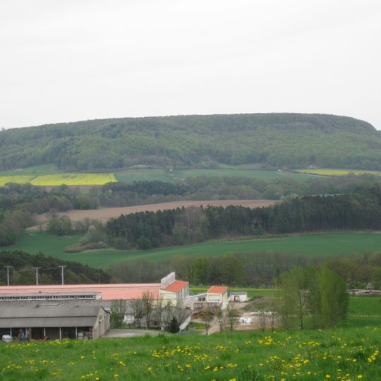 Röhringsberg