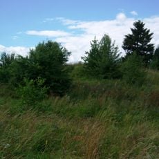 II grodzisko w Mojsejunach