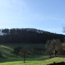 Auf dem Polle