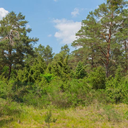 Wacholderschluchten Hohendorf