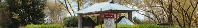 Panoramic View 2
