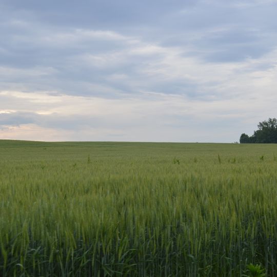 Golden Eagle-Toppmeyer Site