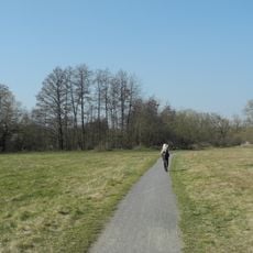 Krautwiese am Wesebach