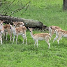 Avon Valley Country Park