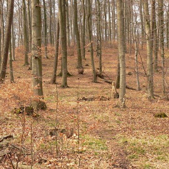 Landwehr - Süllberg