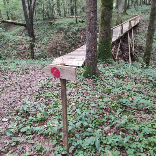 Liepijų miško pėsčiųjų trasa