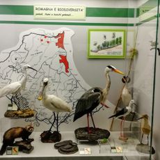 Museo di ecologia