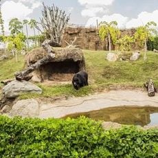Ukumarí Biopark