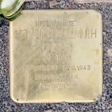 Heinrich Hellmuth Unger