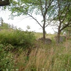 Jewish cemetery in Luka