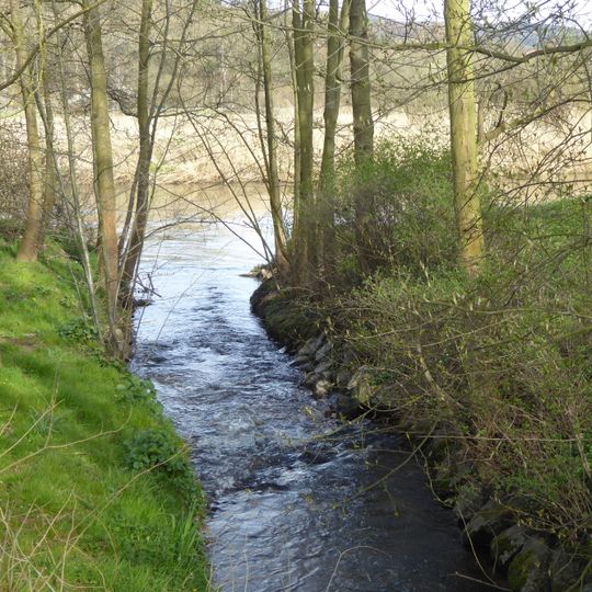 Werratal zwischen Blickershausen und Wendershausen