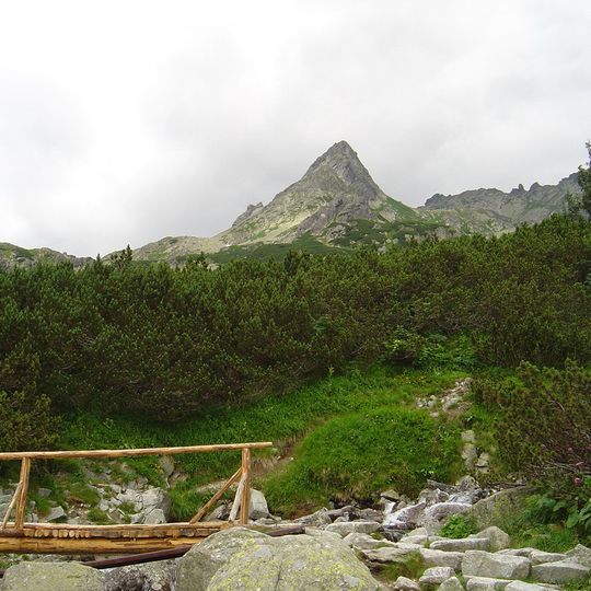 Wołowiec Mięguszowiecki