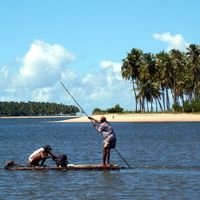 Tamandaré Ramirez Forte
