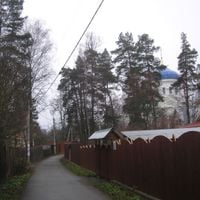 Troitskiy (Istrinsky District)