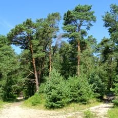 Oise-Pays de France regional natural park