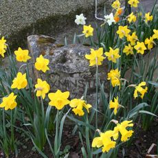 Milestone, Windmill Garage (Texaco), Mount Pleasant