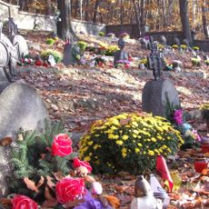 World War I Cemetery nr 371 in Droginia