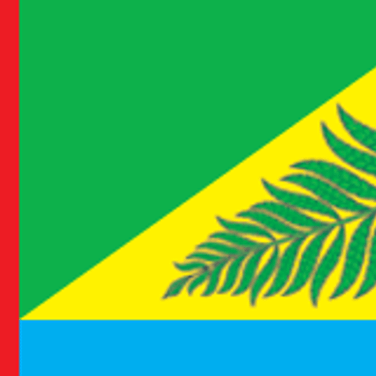 Сельское поселение Радовицкое