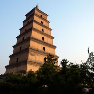 Gran pagoda del ganso salvaje