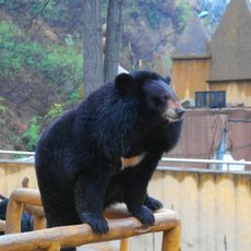 Badaling Bear Garden